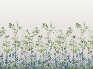 Bird & Bluebell - Ceviche