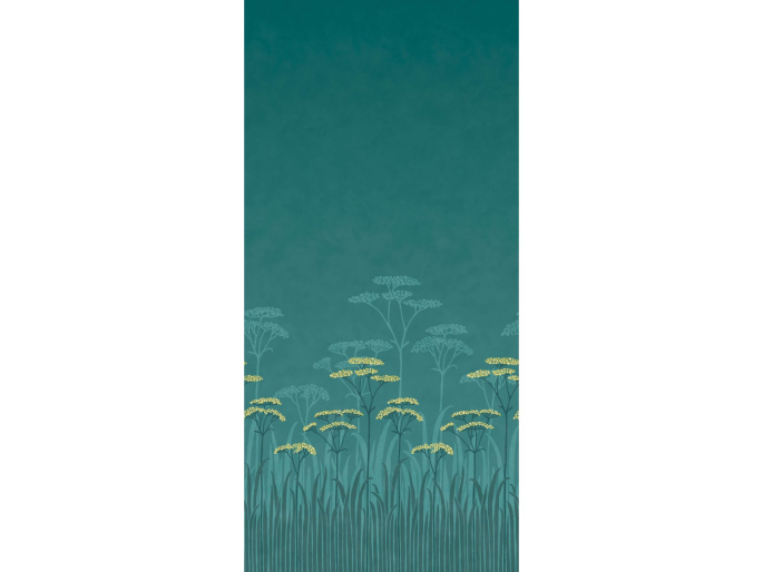 Achillea - Aurora